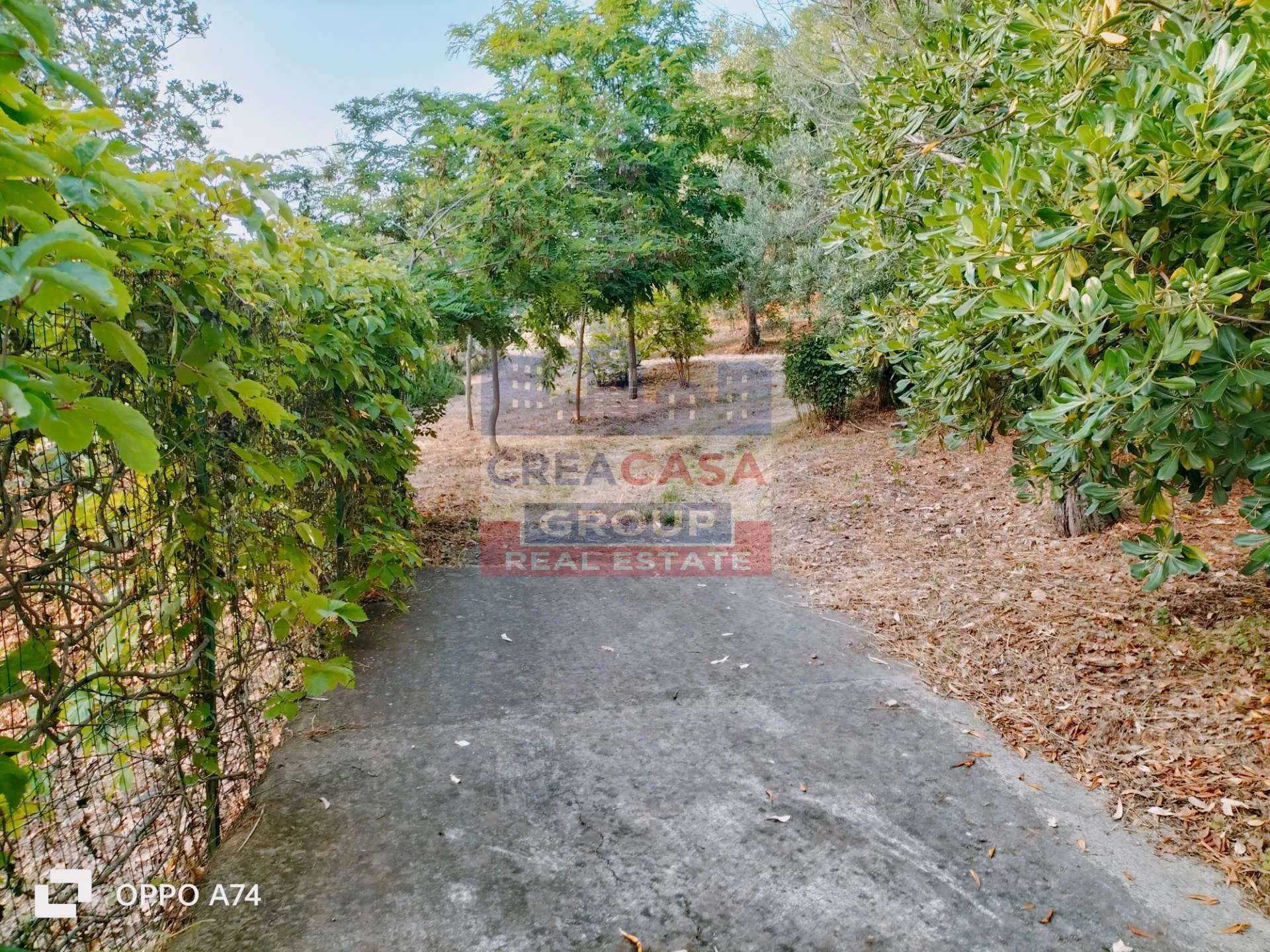 Immagine per Villa in vendita a Castelmola c.da acqualorto