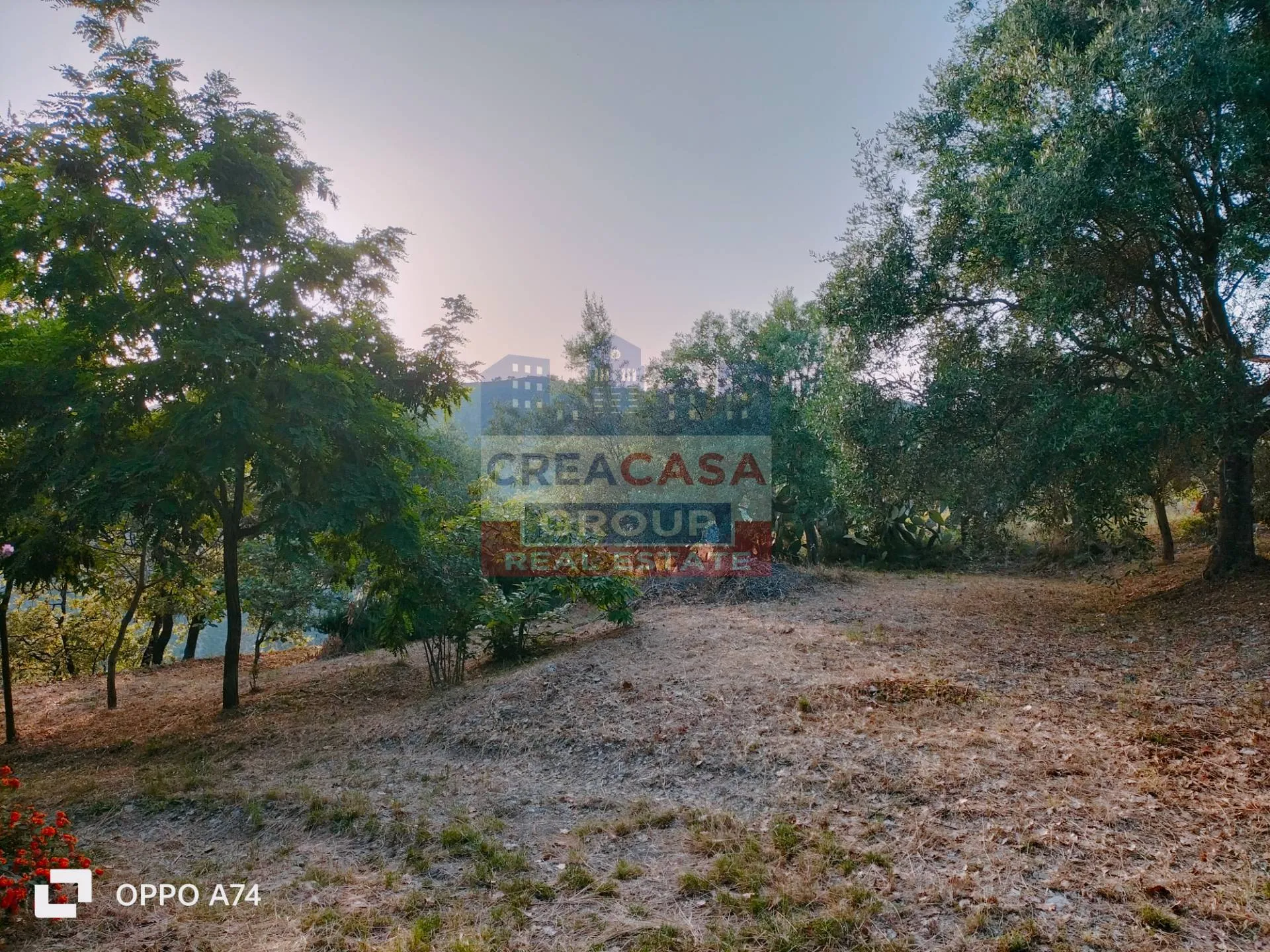 Immagine per Villa in vendita a Castelmola c.da acqualorto