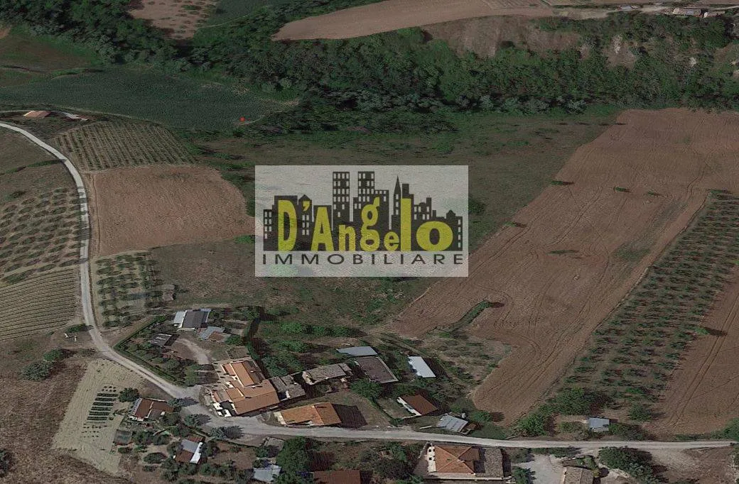 Immagine per Azienda Agricola in vendita a Offida Contrada Tesino