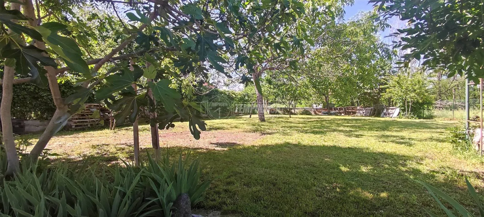 Immagine per Villa Unifamiliare in Vendita a Bruino Via Piossasco