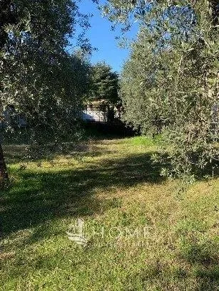 Immagine per Terreno edificabile in vendita a Puegnago sul Garda via Serraglie