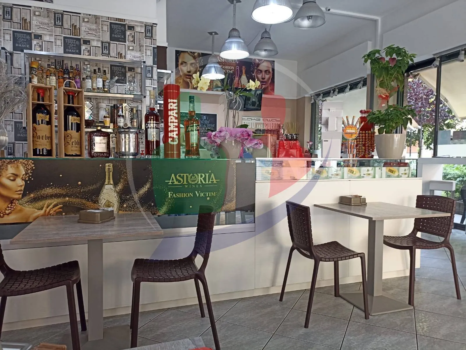 Immagine per Bar in vendita a Venaria Reale Corso Matteotti