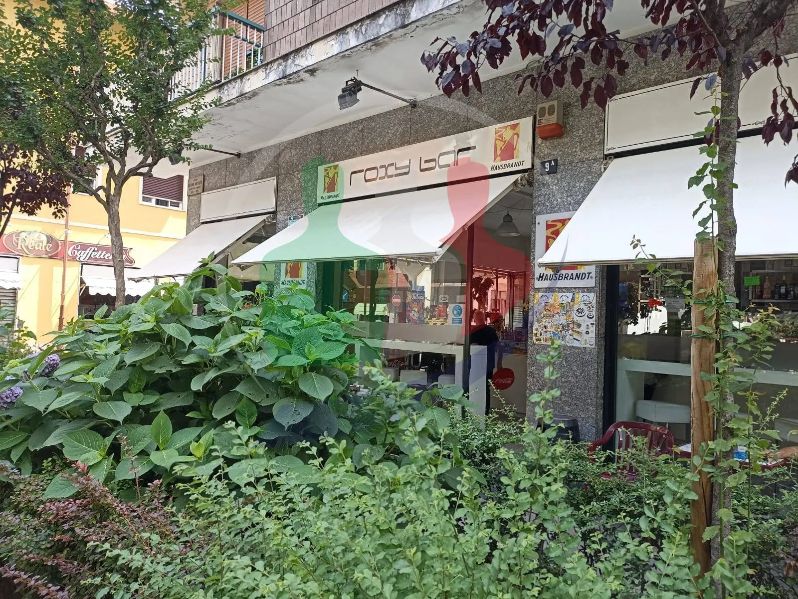 Immagine per Bar in vendita a Venaria Reale Corso Matteotti