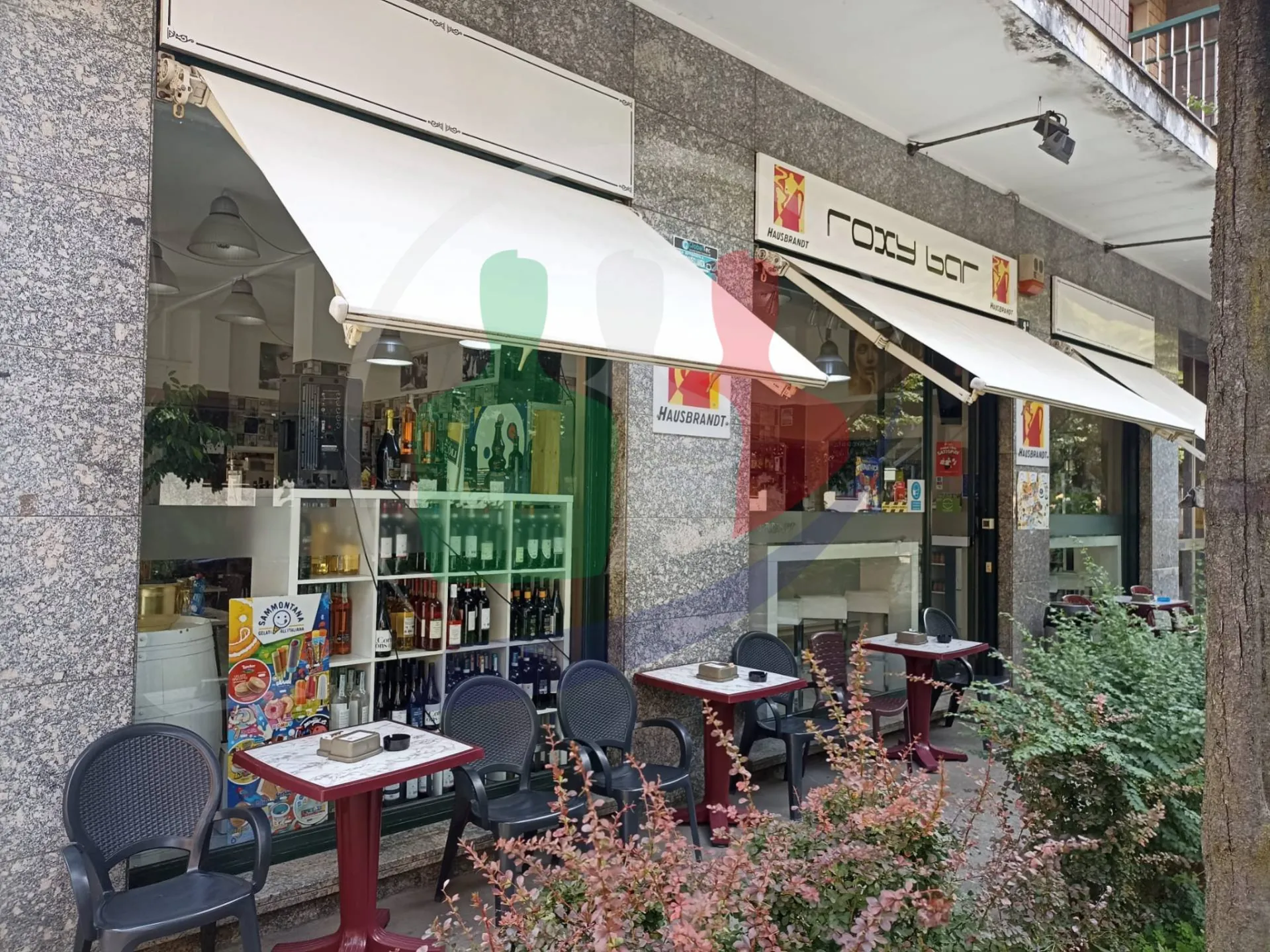 Immagine per Bar in vendita a Venaria Reale Corso Matteotti