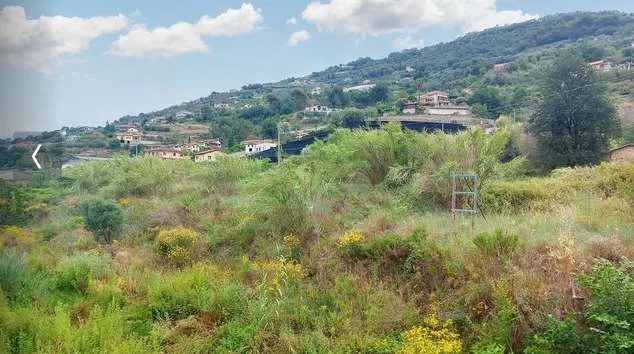 Immagine per Terreno commerciale in asta a Vallecrosia snc