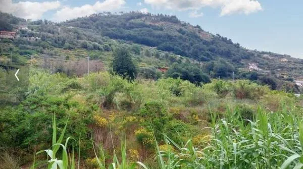 Terreno Commerciale via Snc, Vallecrosia