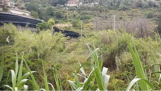 Immagine per Terreno commerciale in asta a Vallecrosia snc