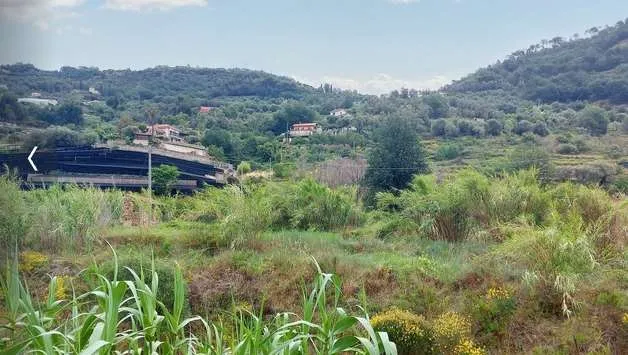 Immagine per Terreno commerciale in asta a Vallecrosia snc