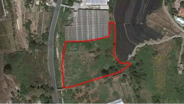 Immagine per Terreno commerciale in asta a Vallecrosia snc