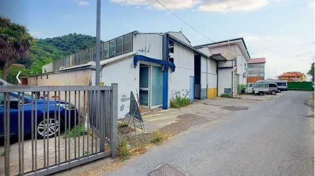 Immagine per Capannone in asta a Camporosso via Braie snc