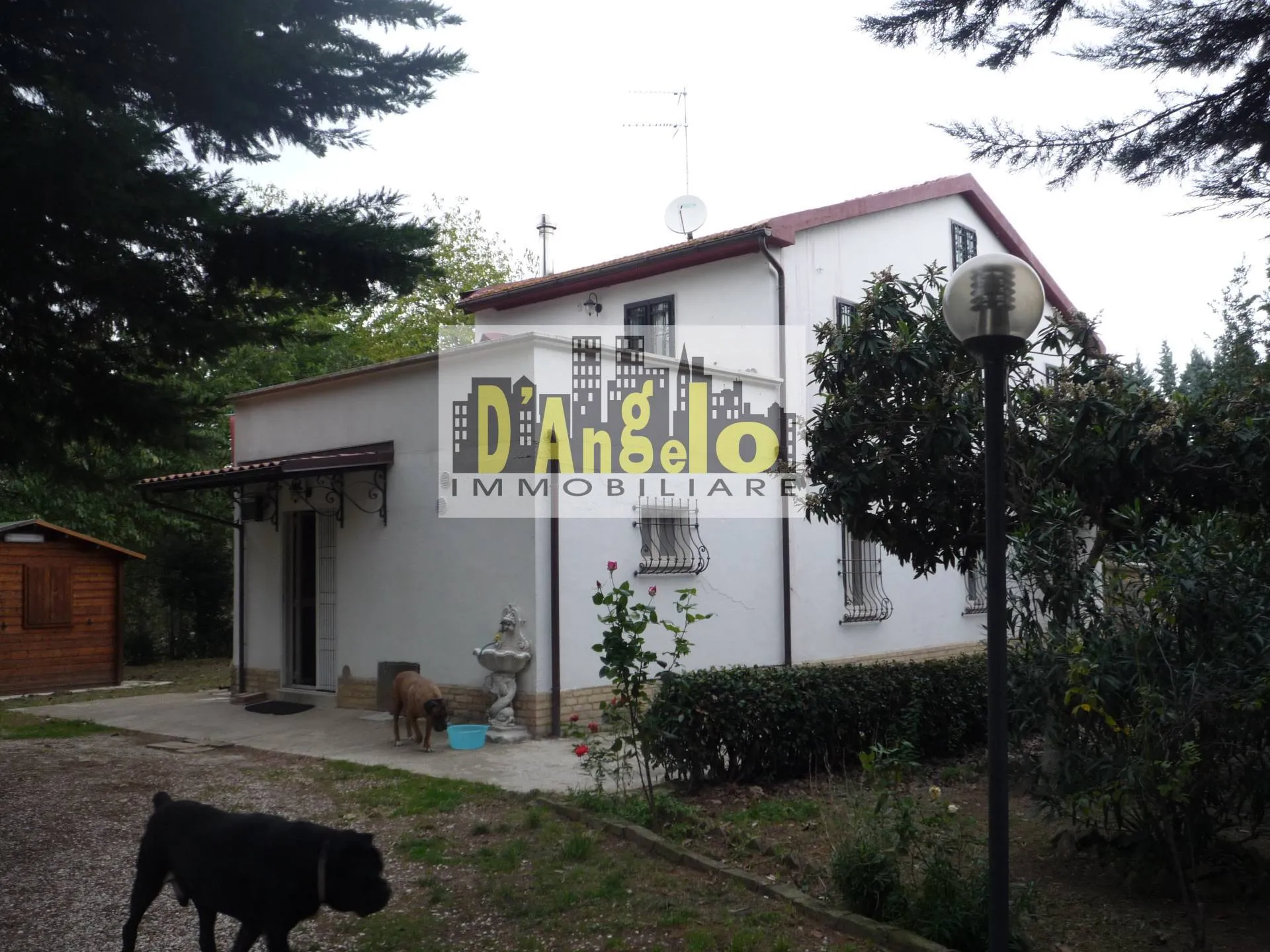 Immagine per Casa indipendente in vendita a Castignano