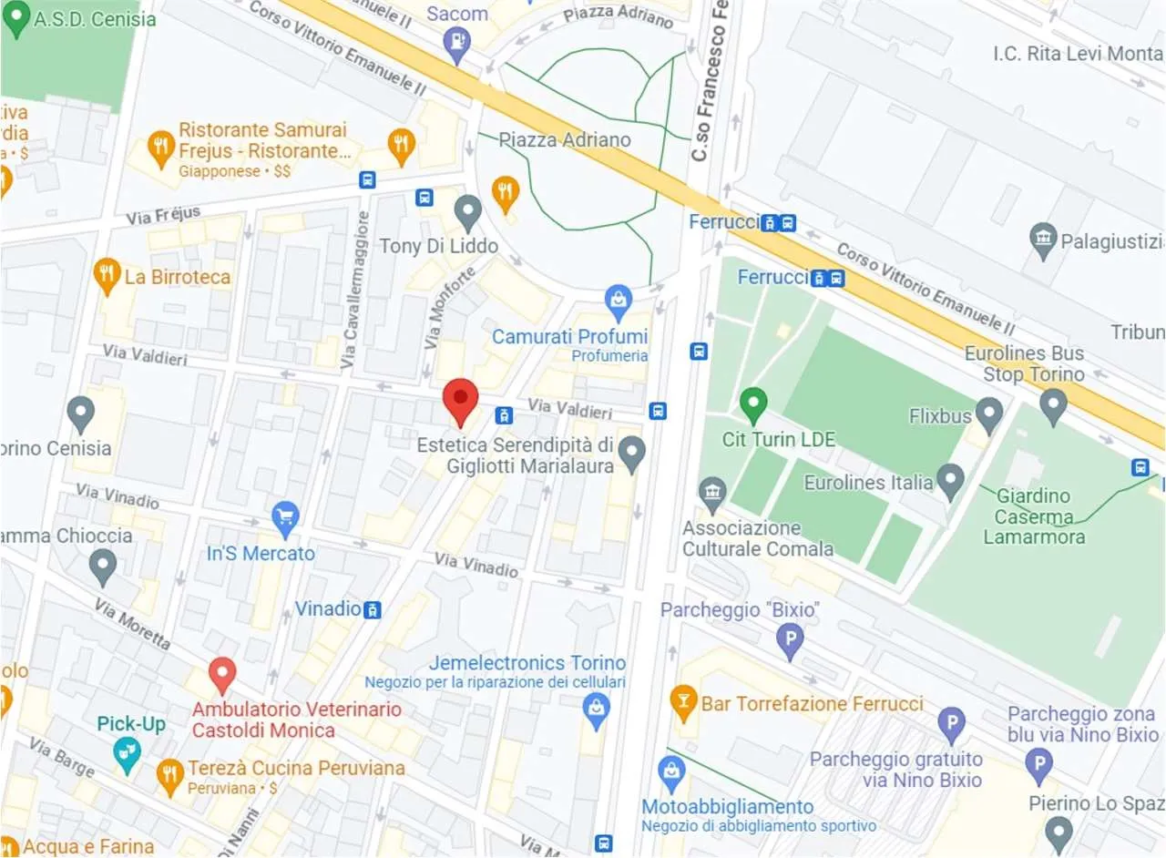 Immagine per Appartamento in asta a Torino