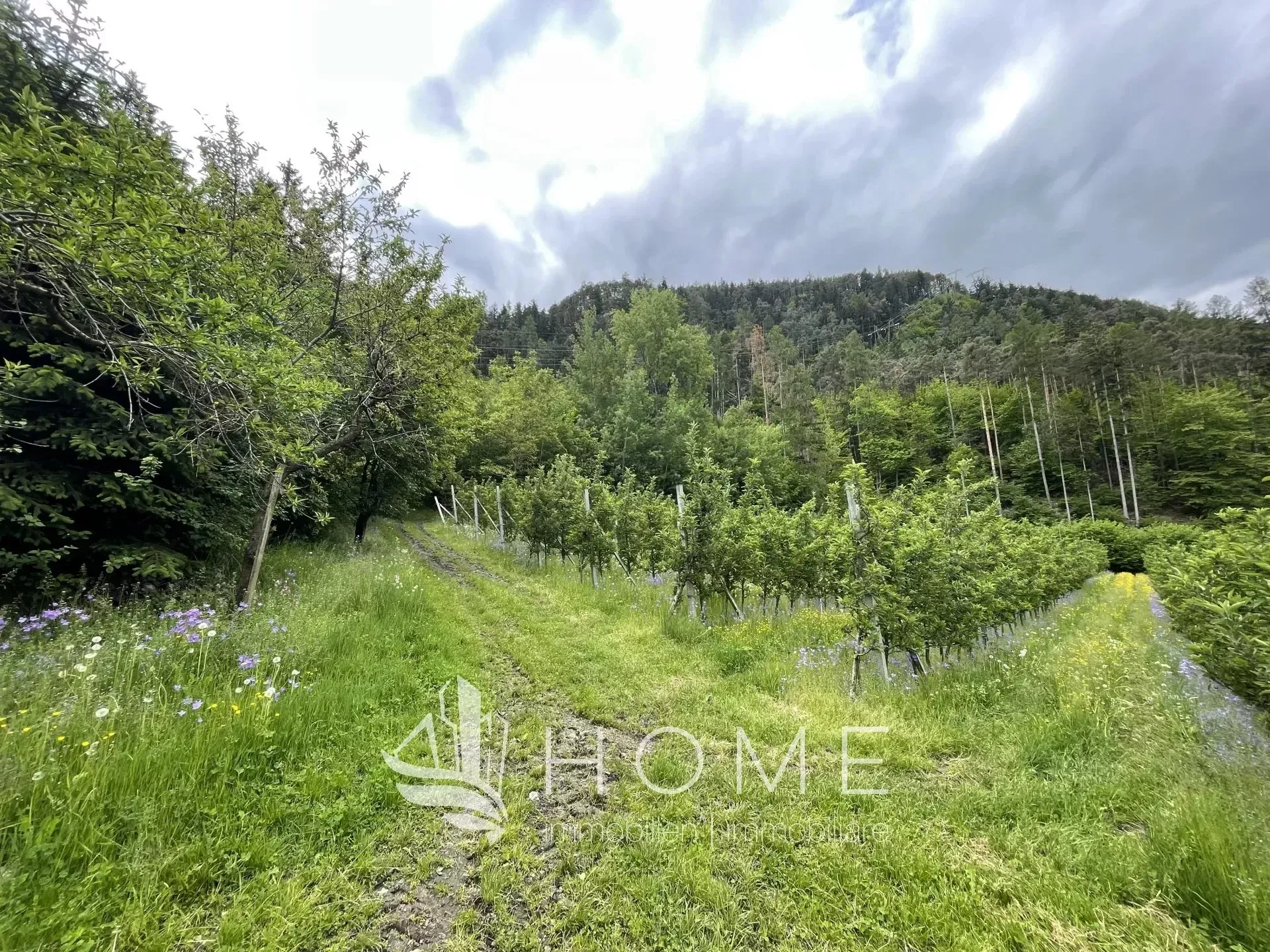 Immagine per Terreno agricolo in vendita a Bressanone strada Klabers
