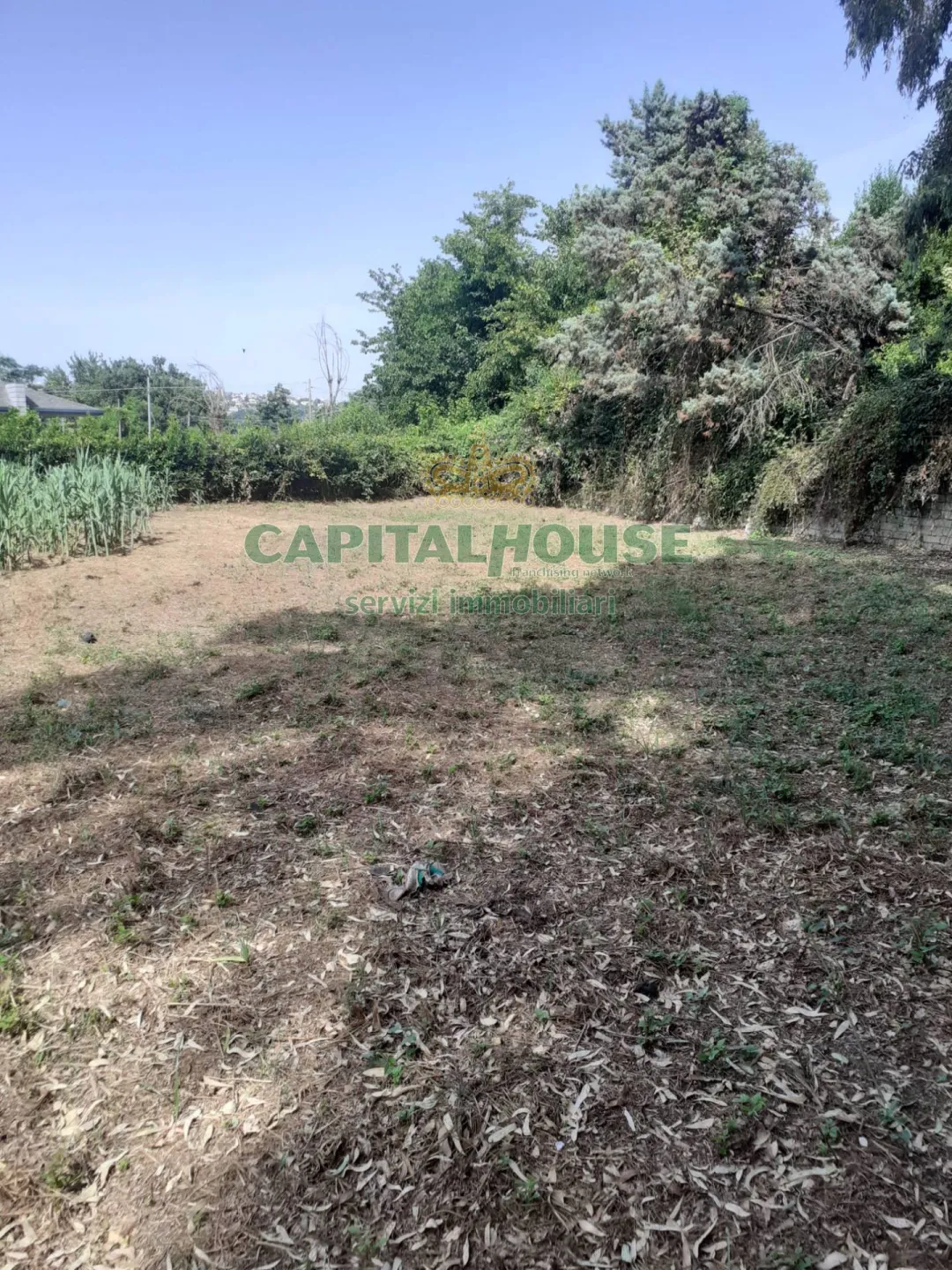 Immagine per Terreno Agricolo in vendita a Pozzuoli
