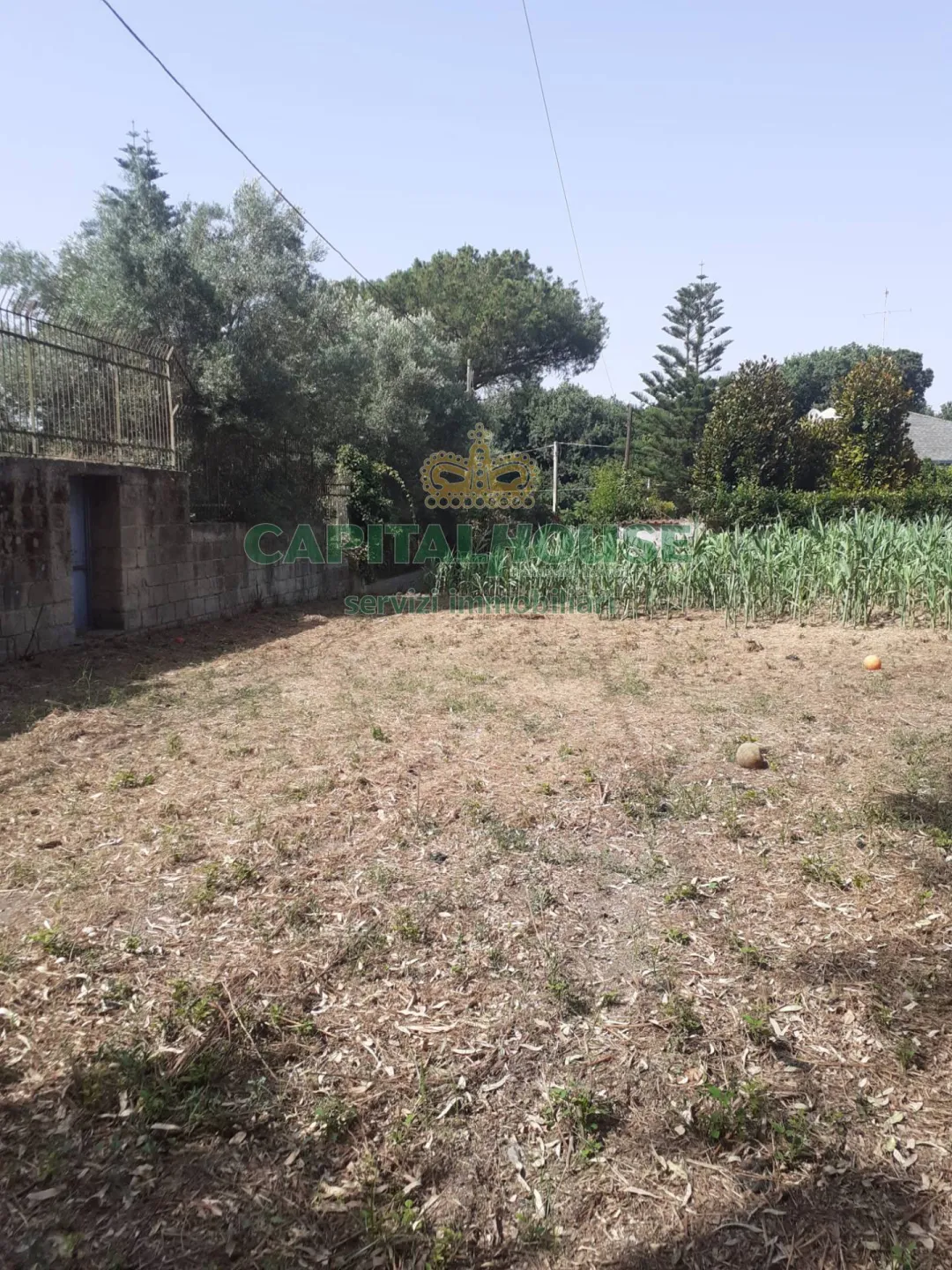 Immagine per Terreno Agricolo in vendita a Pozzuoli