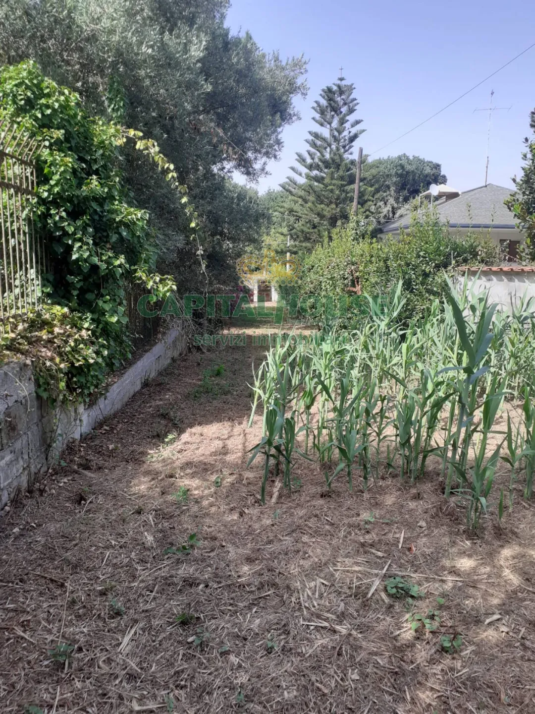 Immagine per Terreno Agricolo in vendita a Pozzuoli