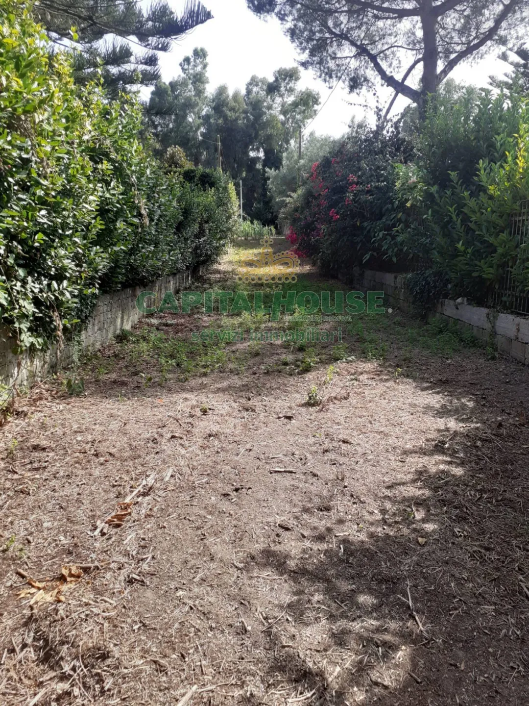 Immagine per Terreno Agricolo in vendita a Pozzuoli