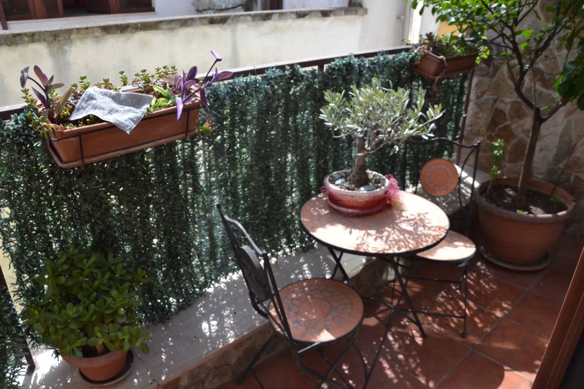 Immagine per Casa indipendente in vendita a Canosa di Puglia via Sassani 