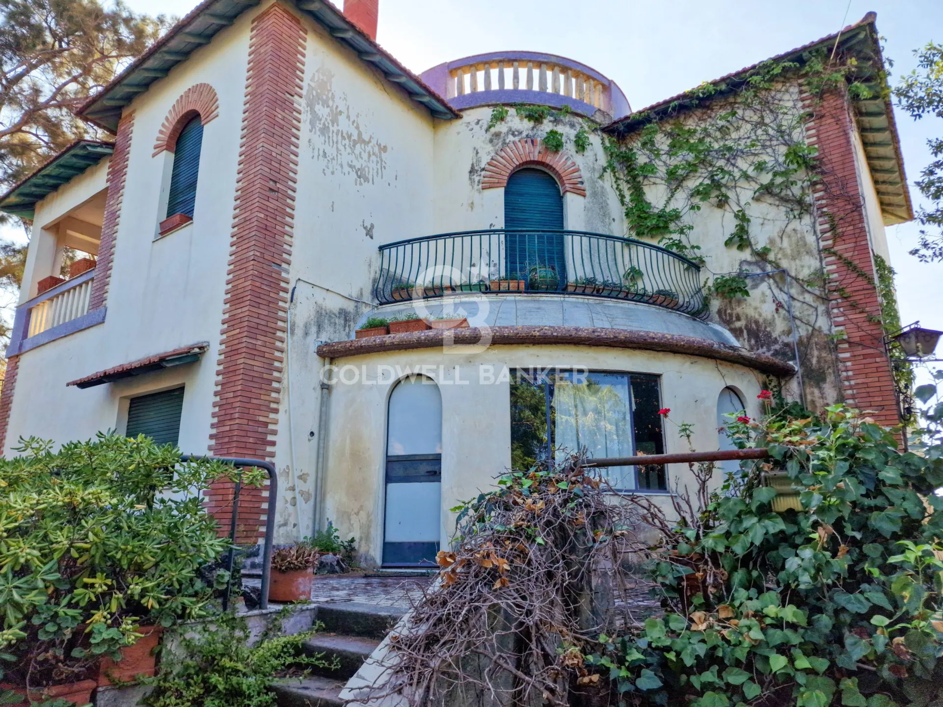 Immagine per Villa in vendita a San Pietro Clarenza VIa Umberto