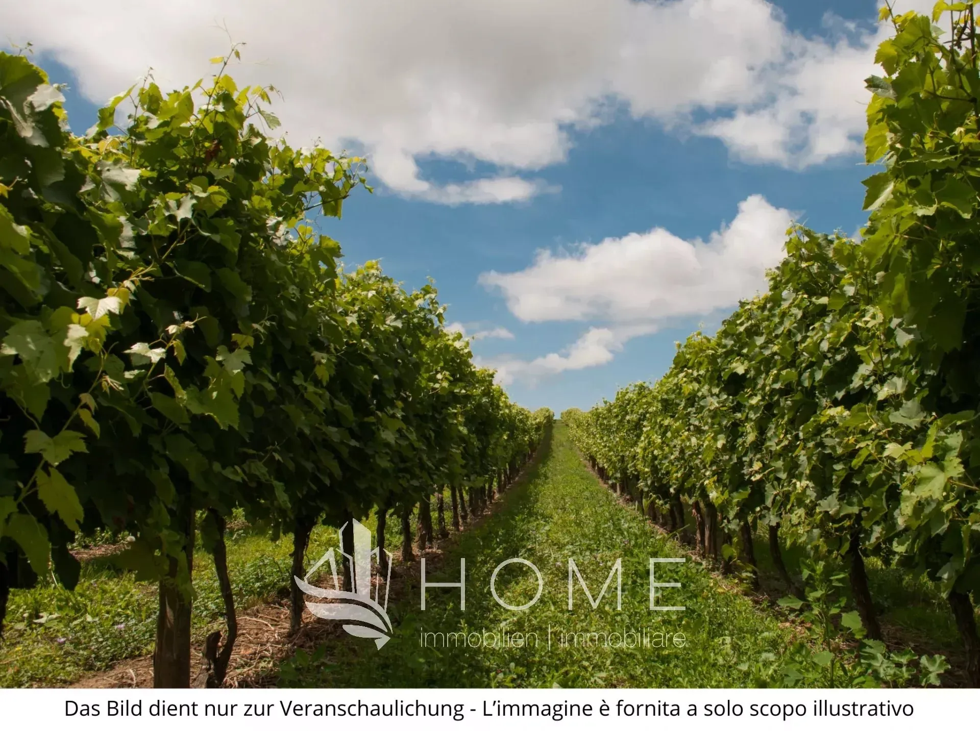 Immagine per Terreno agricolo in vendita a Cermes via Vicolo Josef Braun