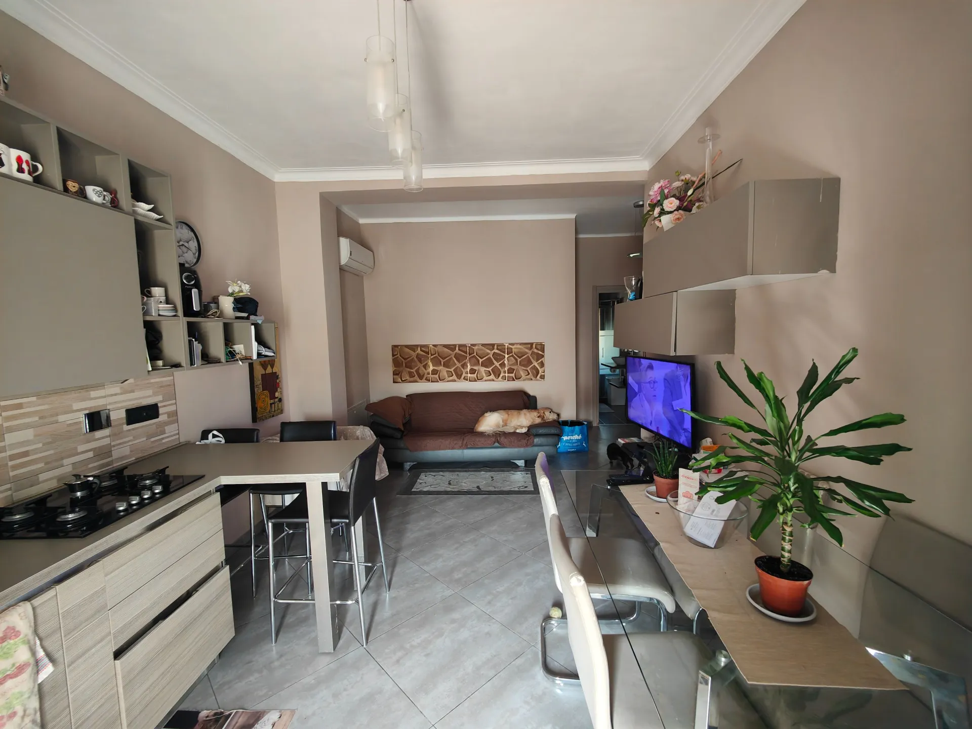 Immagine per Appartamento in Vendita a Torino Corso Grosseto