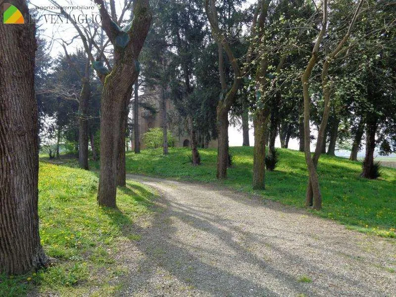 Immagine per Villa in vendita a Reggio Emilia