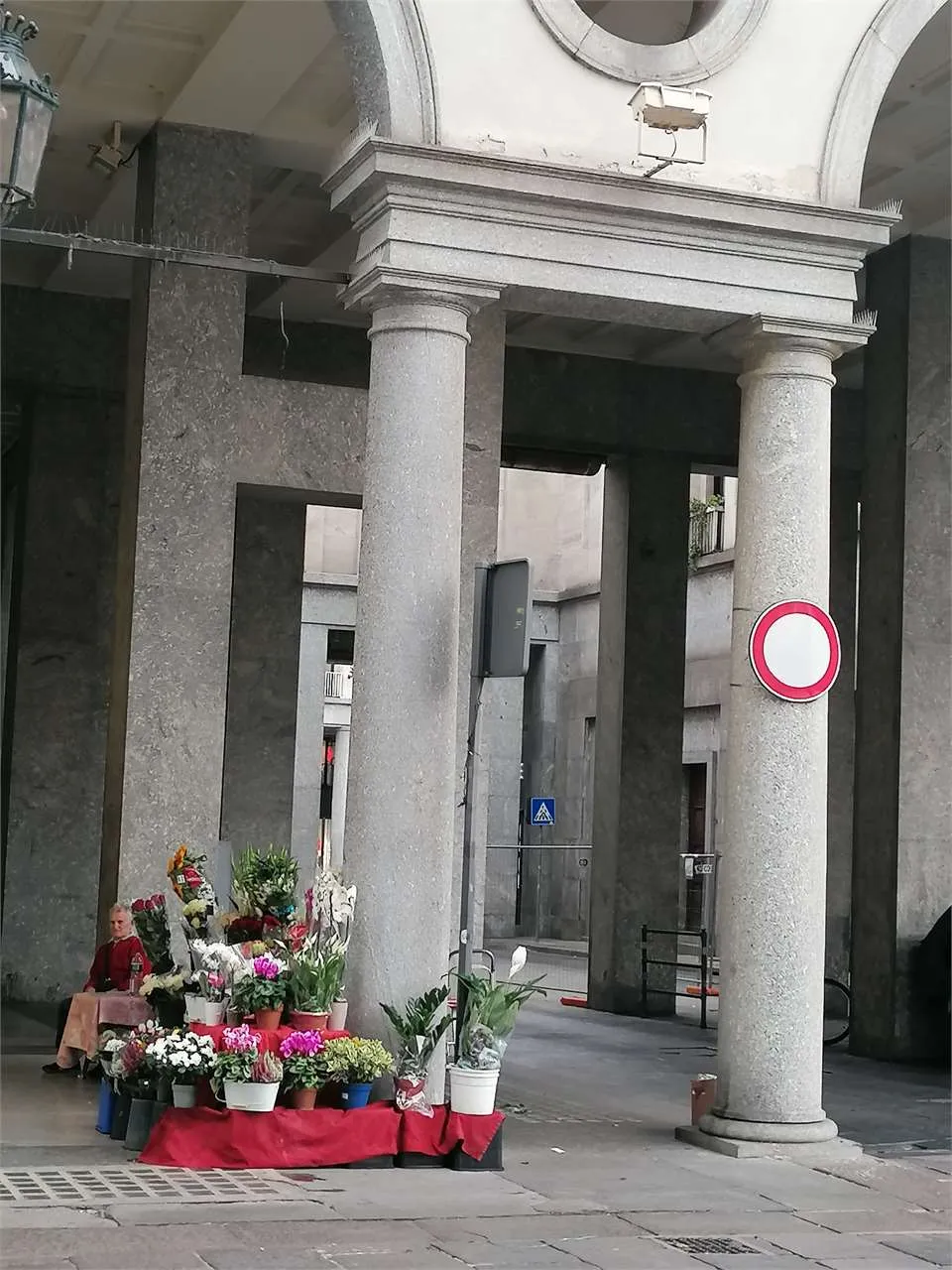 Immagine per Piante e Fiori in vendita a Torino piazza Cln 235