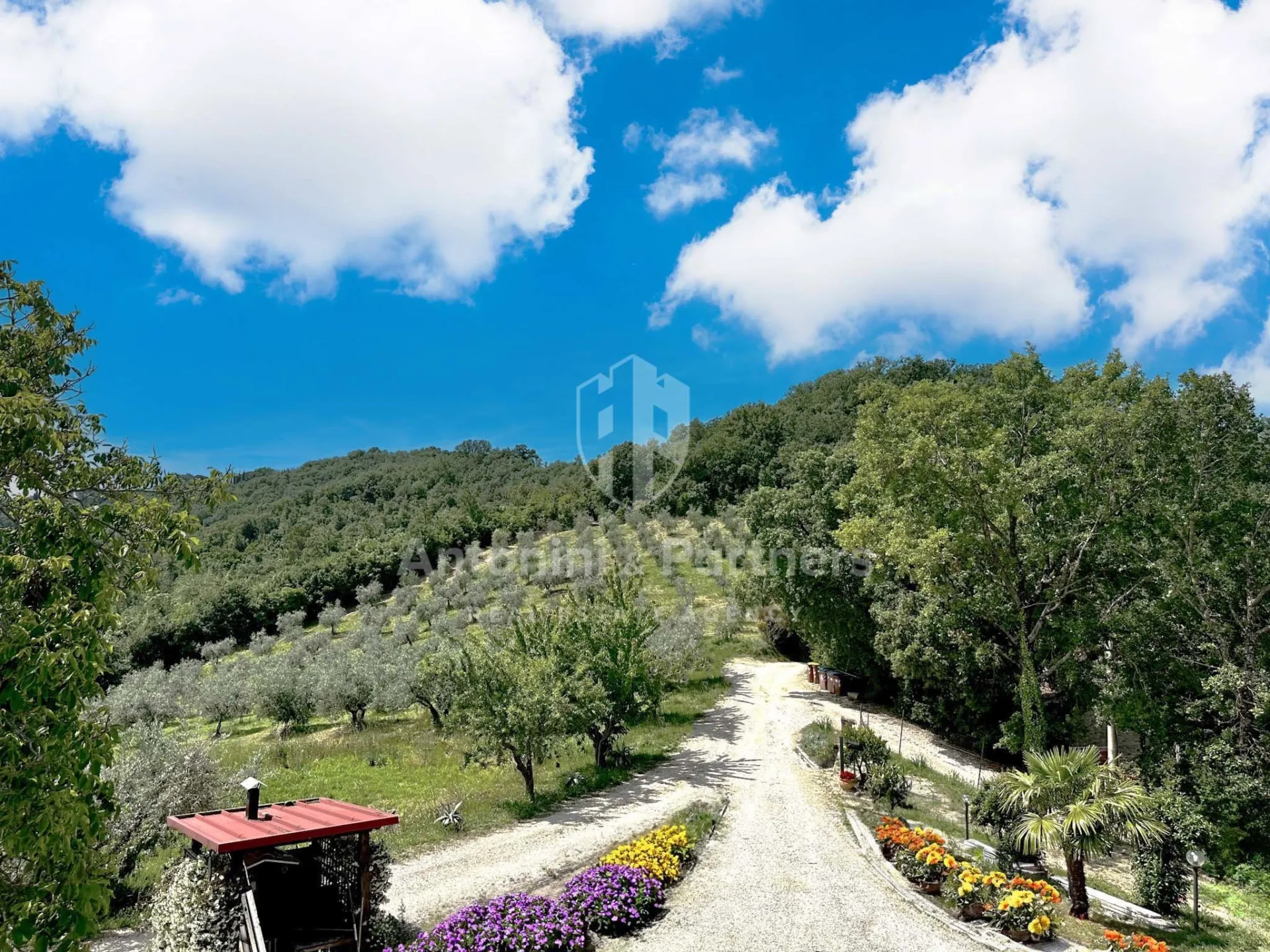 Immagine per Villa in vendita a Collazzone via Della Fiera 06050