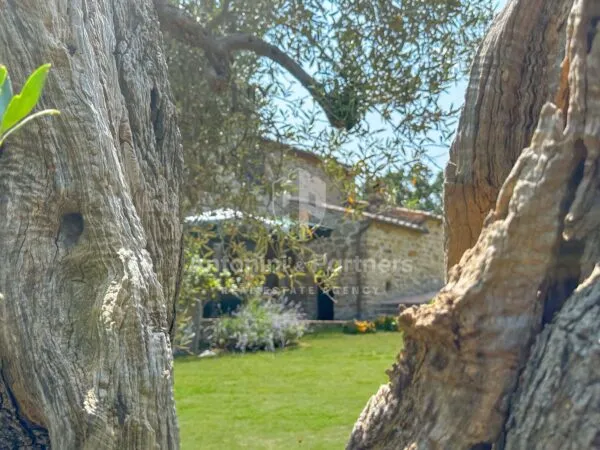 Casale strada Statale Del Trasimeno, Passignano Sul Trasimeno