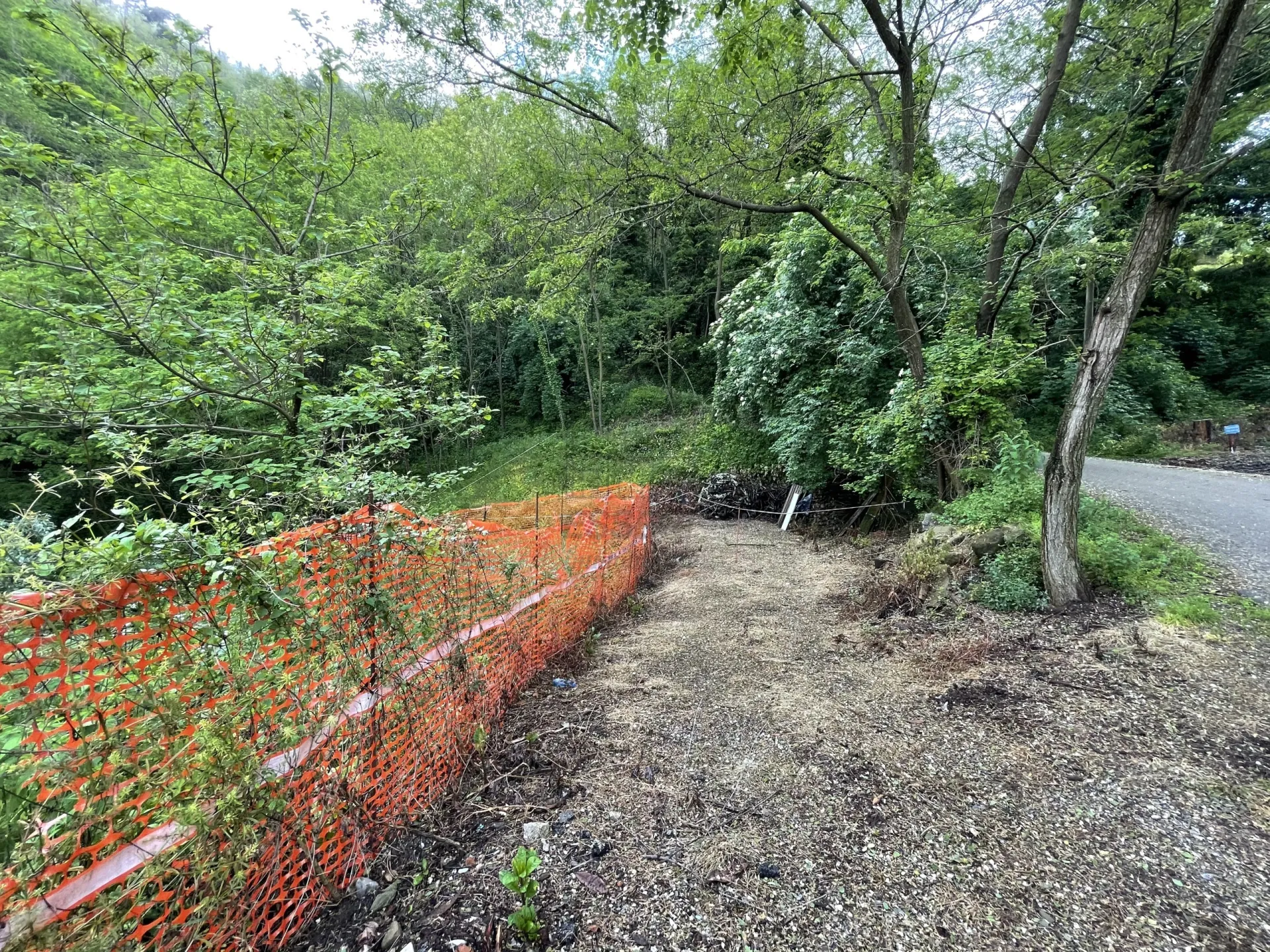Immagine per Villa in vendita a Capannori via Per Matraia 269