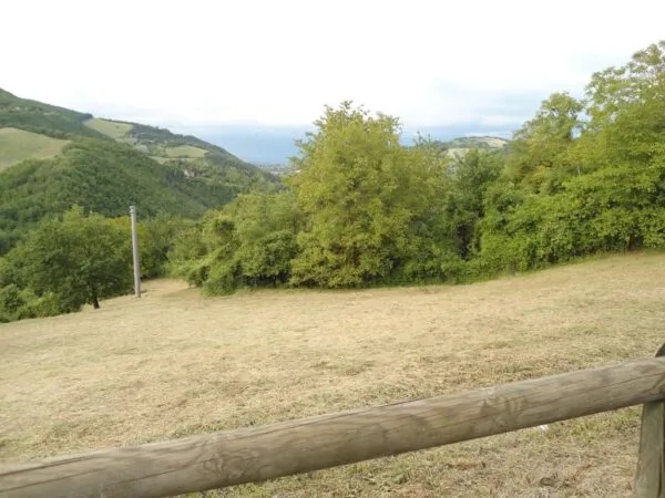 Terreno Edificabile via Ronzano, Calestano