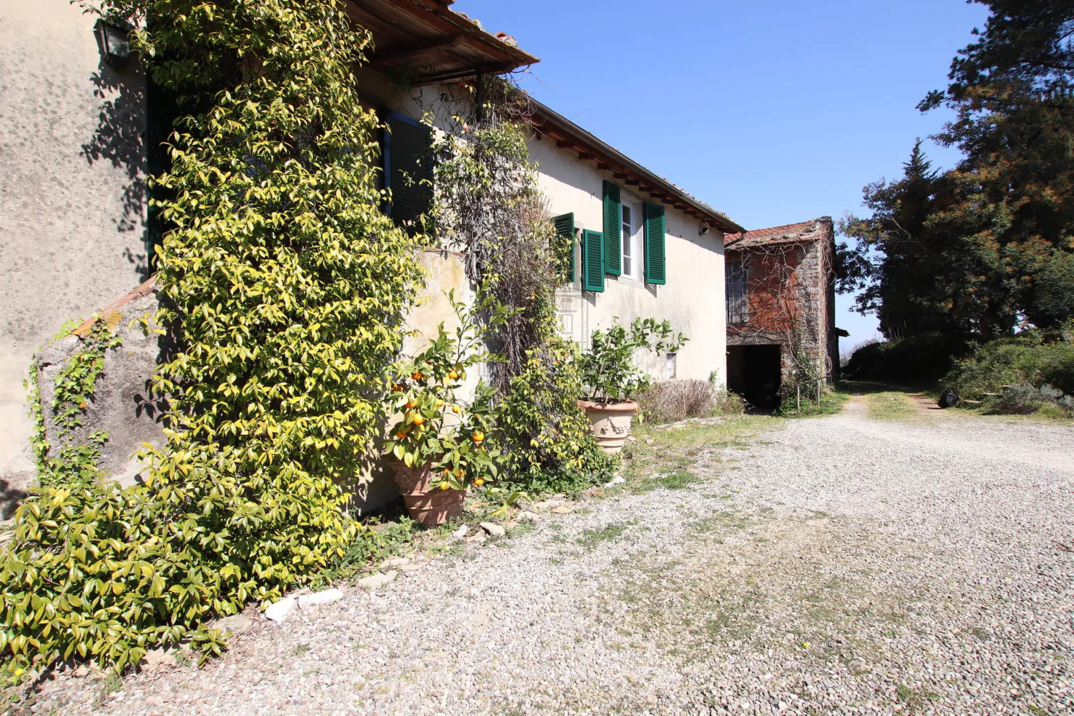 Immagine per Casale in vendita a Lucca via Del Borgo 55