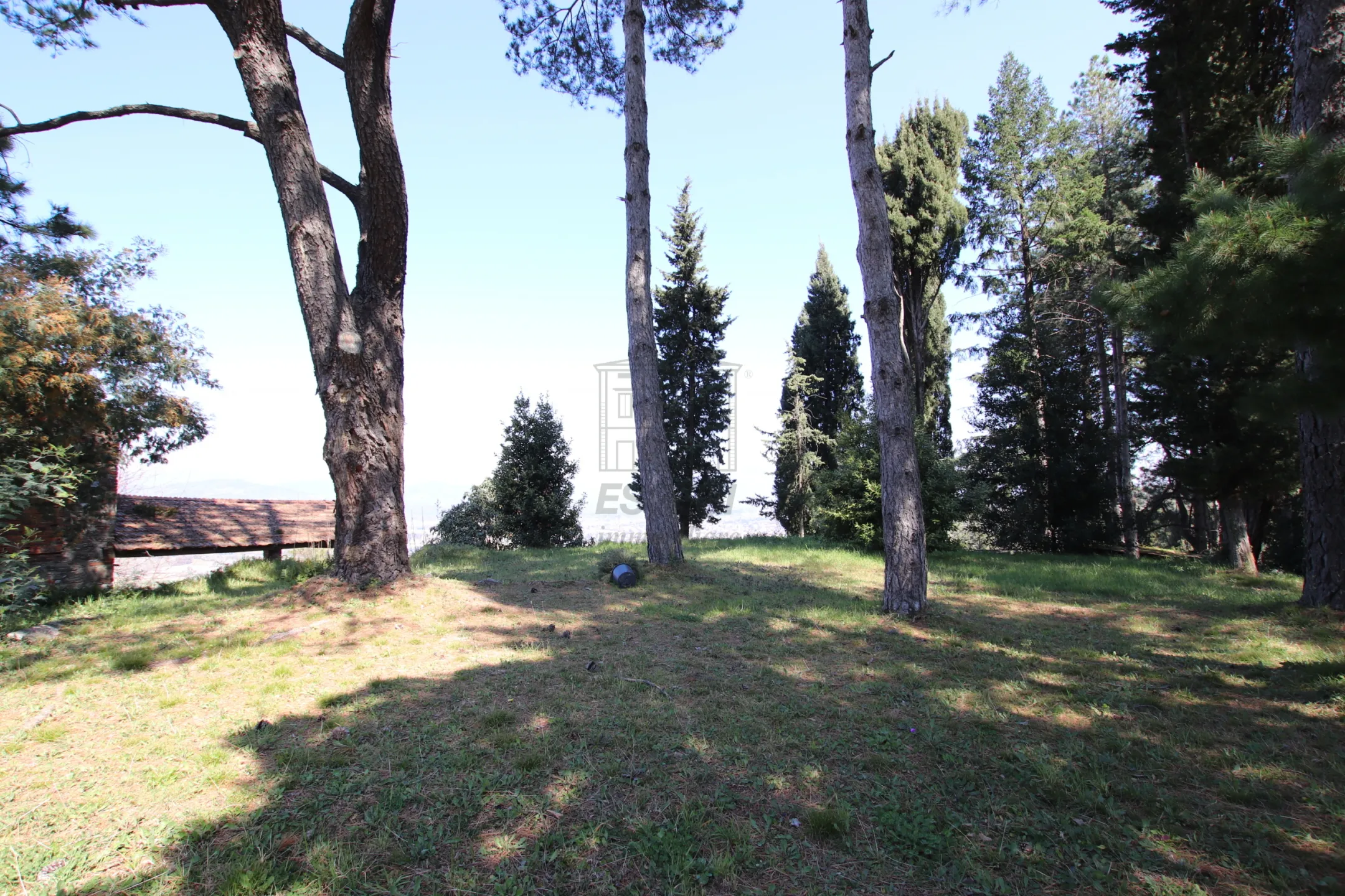 Immagine per Casale in vendita a Lucca via Del Borgo 55
