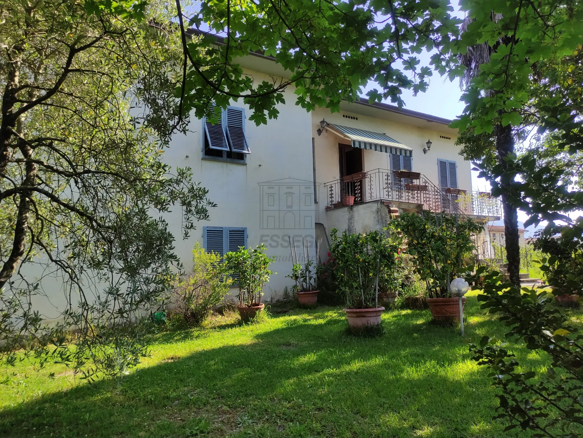 Immagine per Villa in vendita a Lucca via Di Mammoli 3