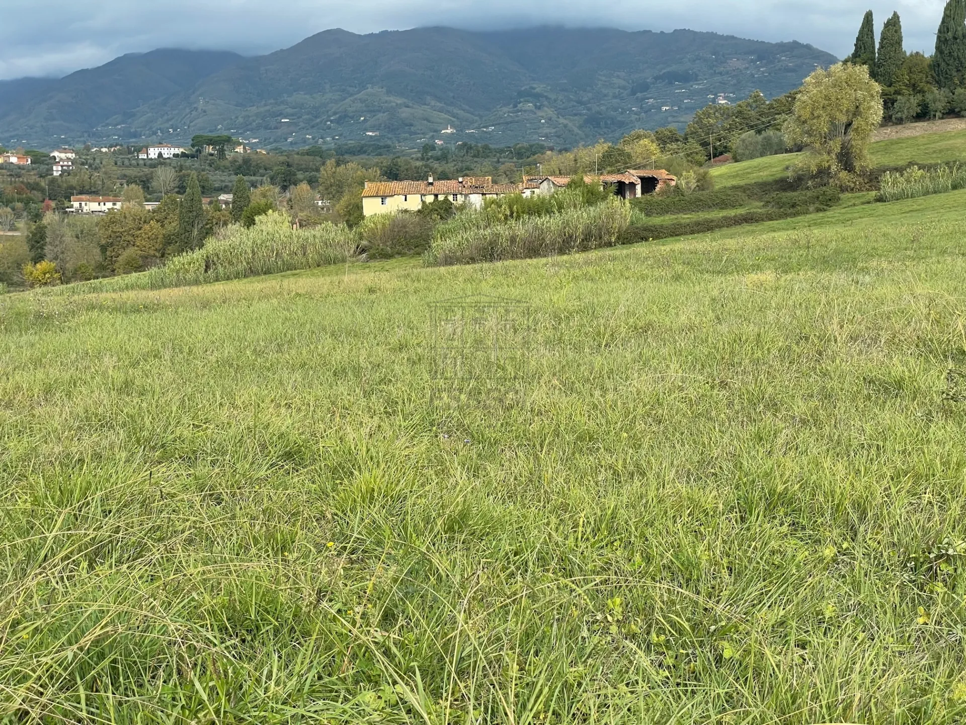 Immagine per Casale in vendita a Lucca via Del Cantone 10