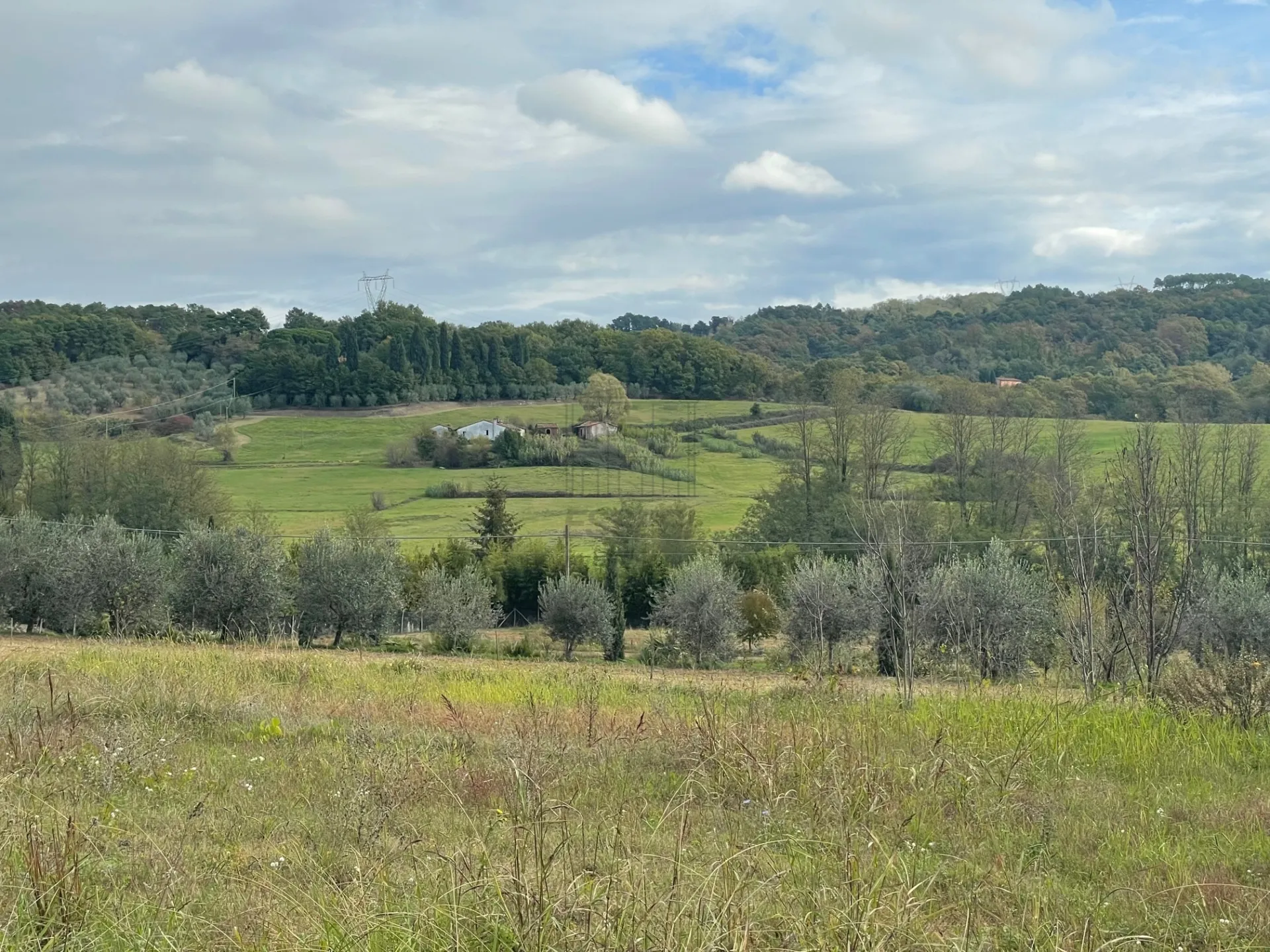 Immagine per Casale in vendita a Lucca via Del Cantone 10