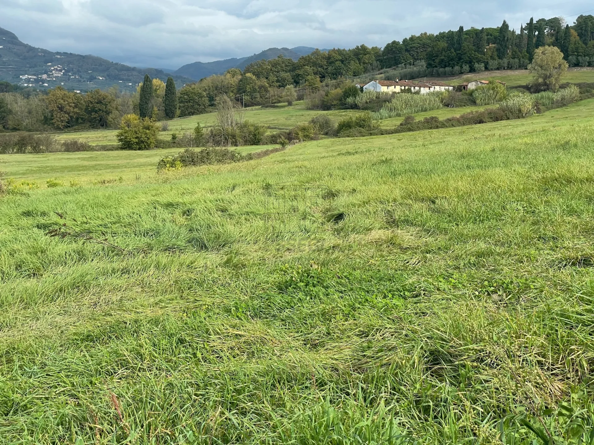 Immagine per Casale in vendita a Lucca via Del Cantone 10
