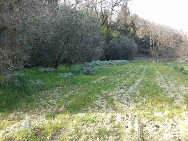 Villa Trifamiliare via Montagna Dei Fiori, San Benedetto Del Tronto