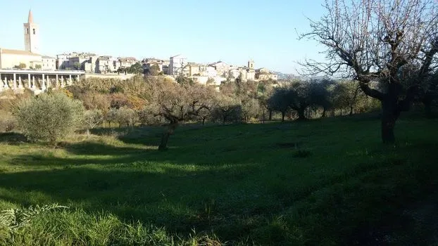Immagine per Terreno edificabile in vendita a Appignano del Tronto via Circonvallazione