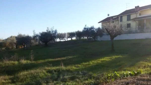 Terreno Edificabile via Circonvallazione, Appignano Del Tronto