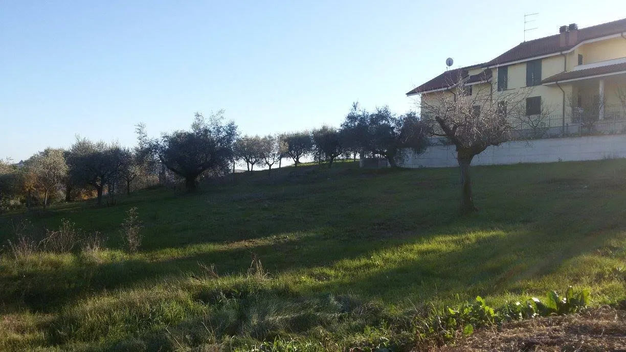 Immagine per Terreno edificabile in vendita a Appignano del Tronto via Circonvallazione