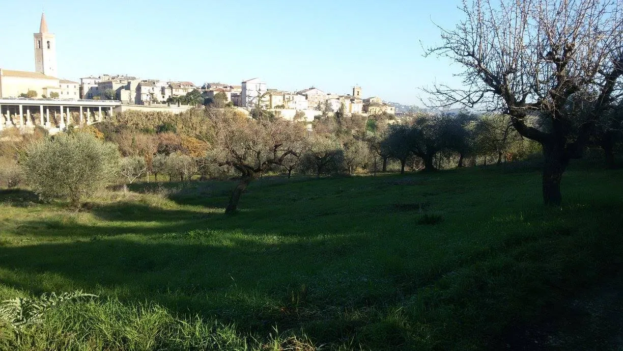 Immagine per Terreno edificabile in vendita a Appignano del Tronto via Circonvallazione