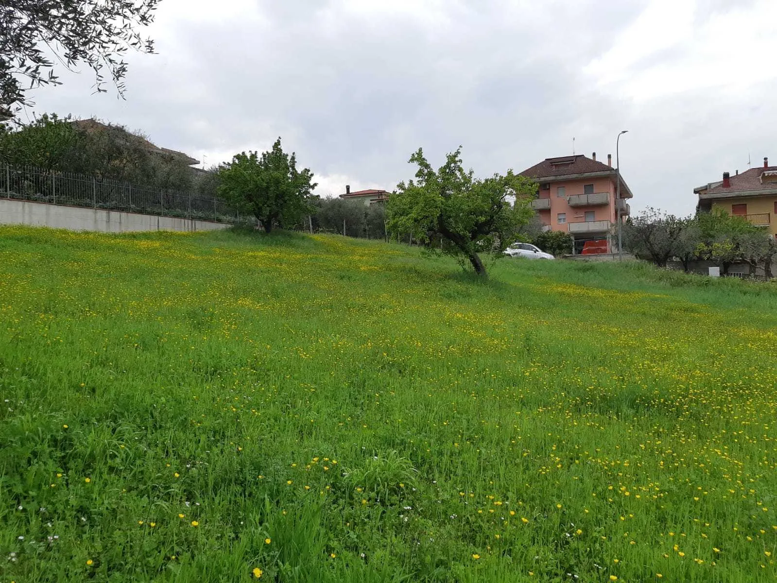 Immagine per Terreno edificabile in vendita a Appignano del Tronto via Circonvallazione