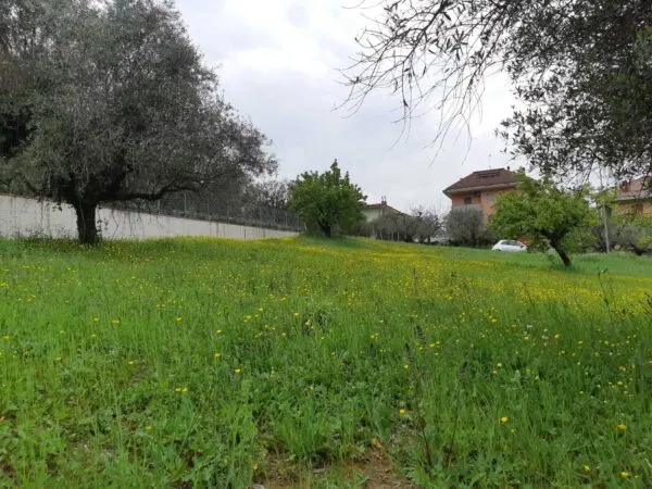 Terreno Edificabile via Circonvallazione, Appignano Del Tronto