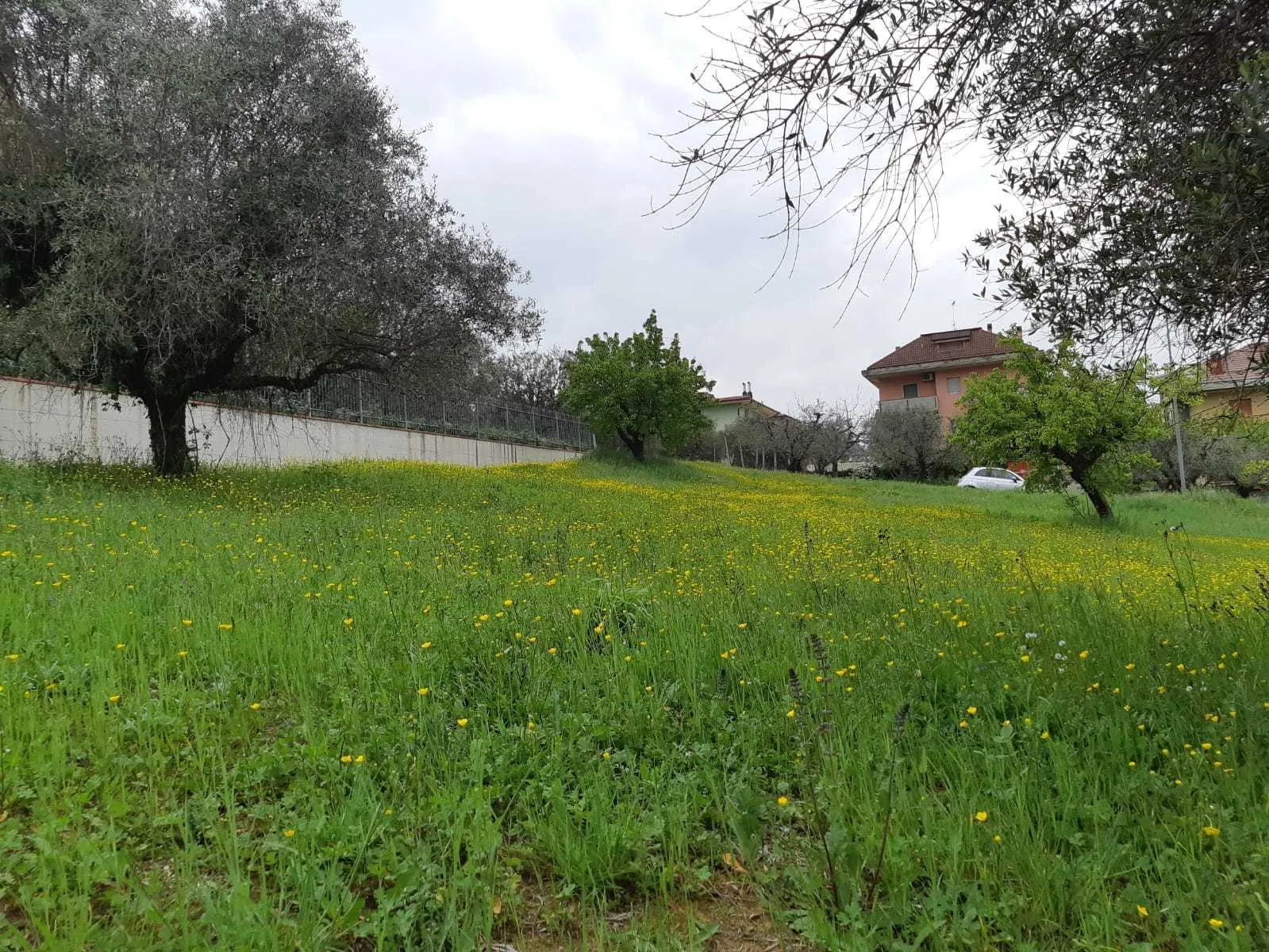 Immagine per Terreno edificabile in vendita a Appignano del Tronto via Circonvallazione