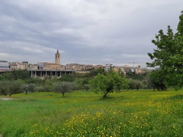 Terreno Edificabile via Circonvallazione, Appignano Del Tronto