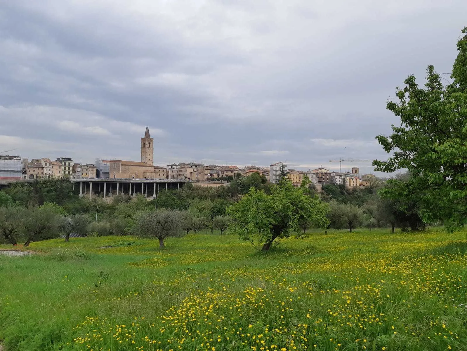 Immagine per Terreno edificabile in vendita a Appignano del Tronto via Circonvallazione