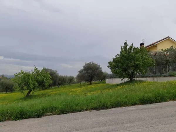 Terreno Edificabile via Circonvallazione, Appignano Del Tronto