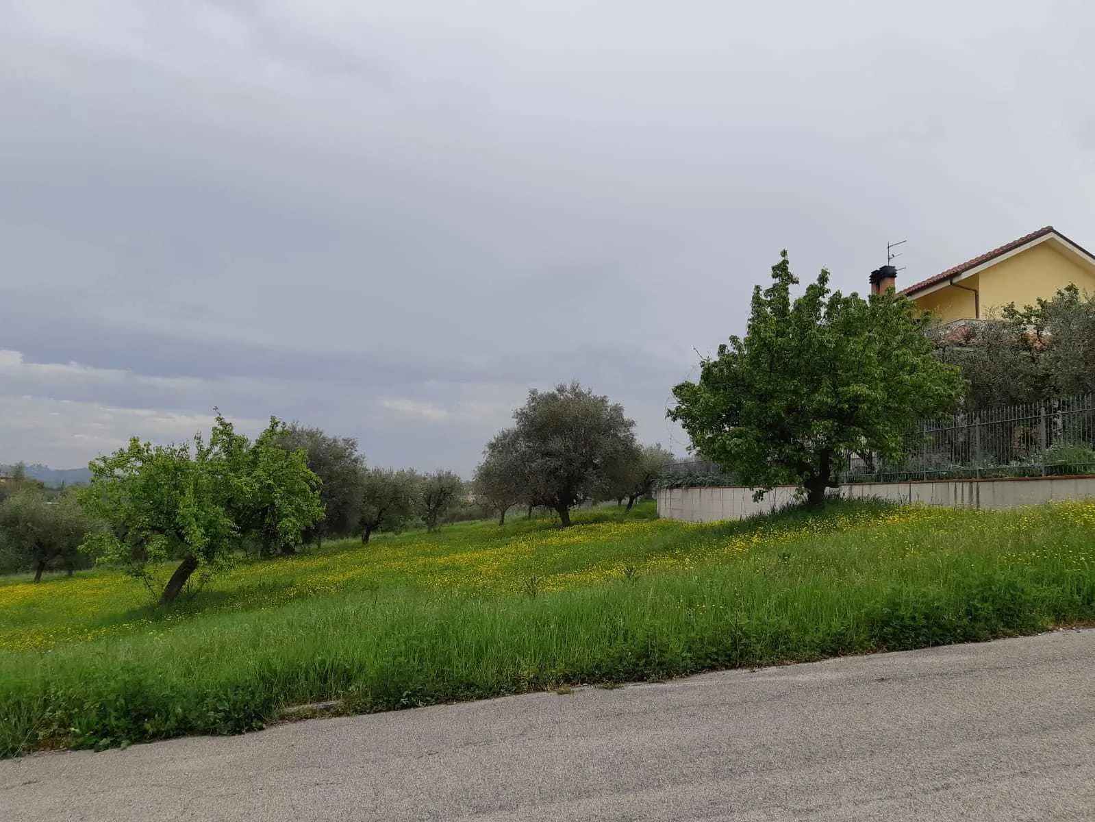 Immagine per Terreno edificabile in vendita a Appignano del Tronto via Circonvallazione