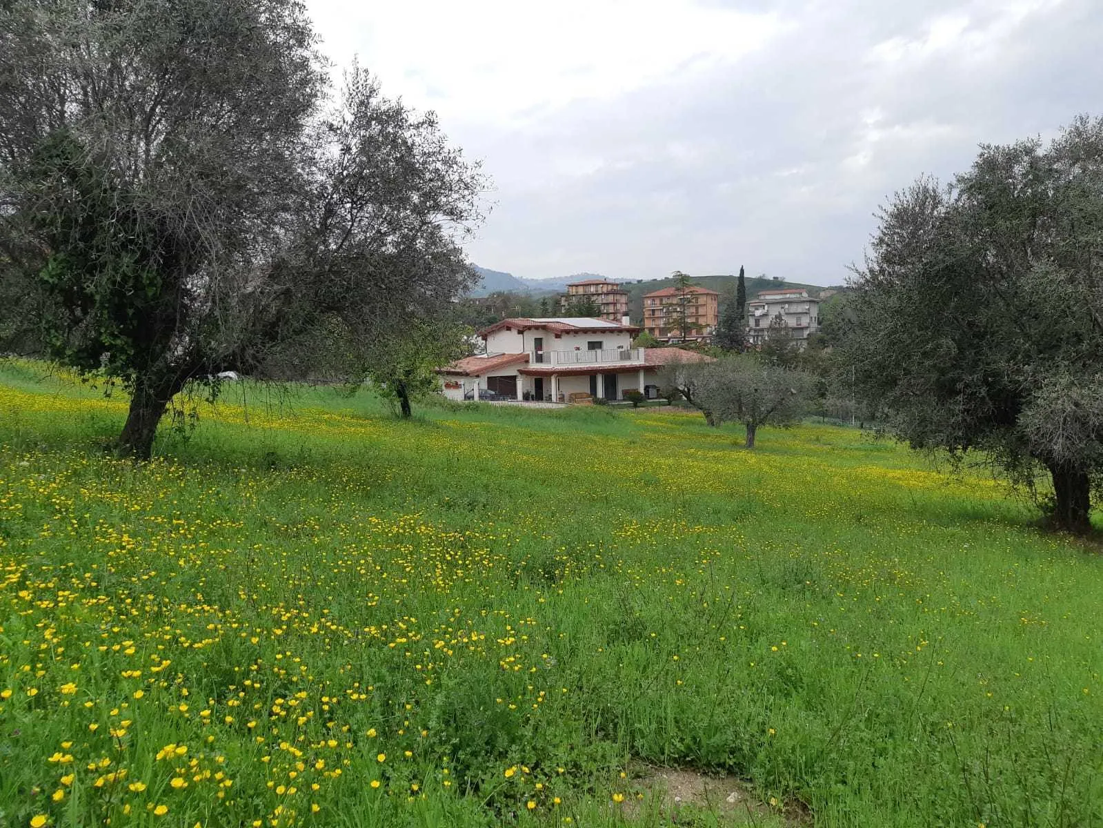 Immagine per Terreno edificabile in vendita a Appignano del Tronto via Circonvallazione